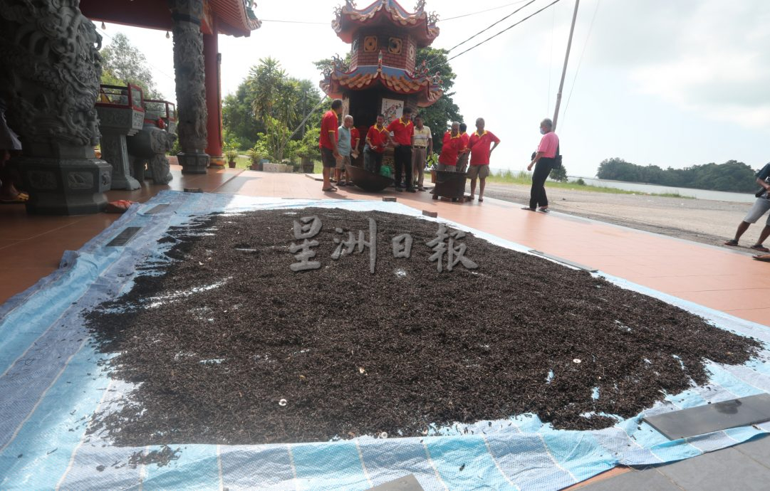 柔：（特稿）四湾宝安宫保留独特习俗  端午炒午时茶 祛病辟邪