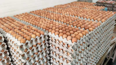 消費者協會籲民眾 舉報未降雞蛋價商家