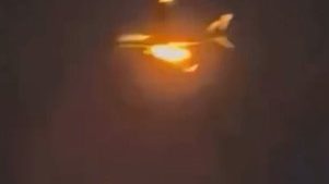 疑似鳥擊導致引擎起火故障  澳客機被迫改道降落