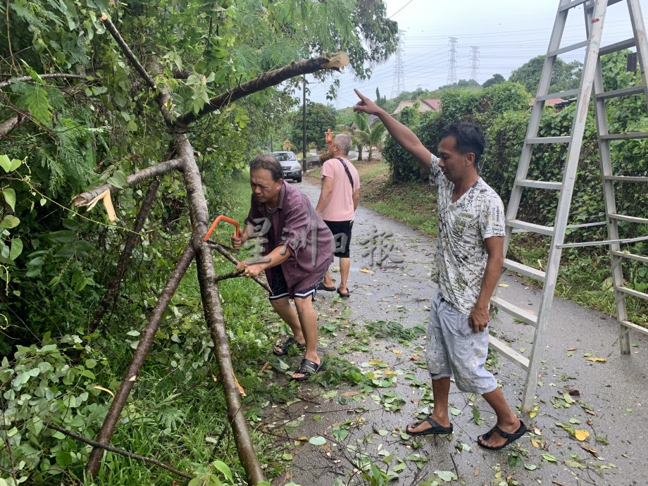 芦骨至波德申海滨区清晨狂风暴雨 处处倒树 屋顶被掀开