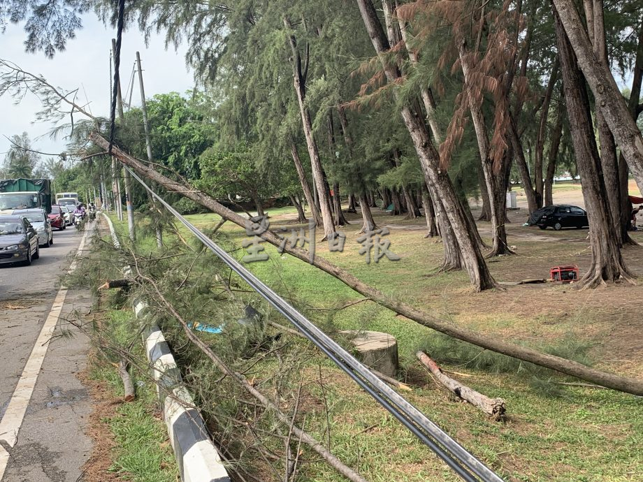 芦骨至波德申海滨区清晨狂风暴雨 处处倒树 屋顶被掀开