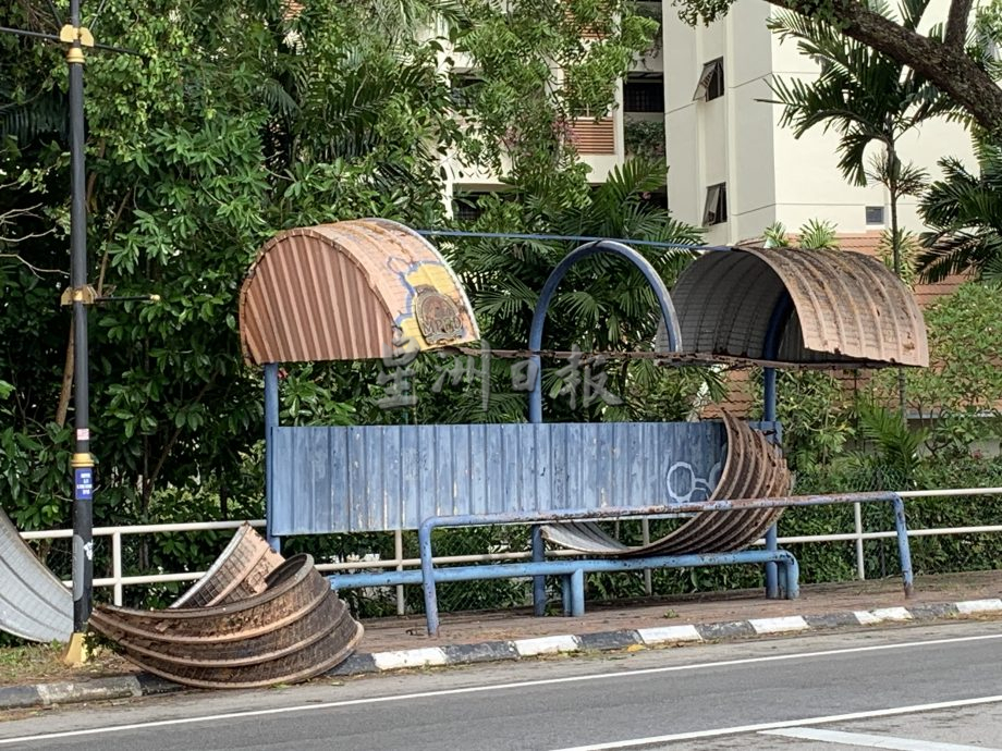 芦骨至波德申海滨区清晨狂风暴雨 处处倒树 屋顶被掀开