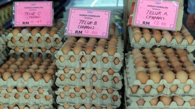 若降价前进货没津贴 鸡蛋商担心或面对亏损