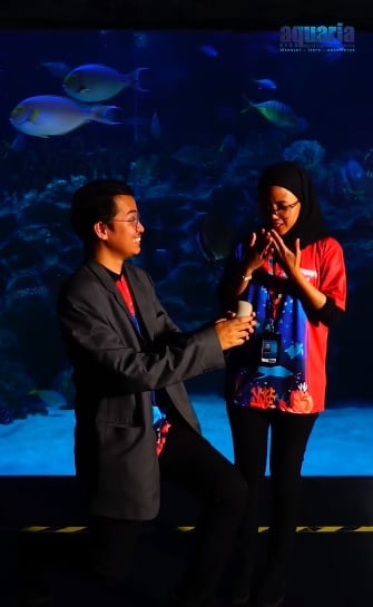 视频|KLCC水族馆推韩剧同款求婚配套 粉丝欢呼：不用飞韩国了！