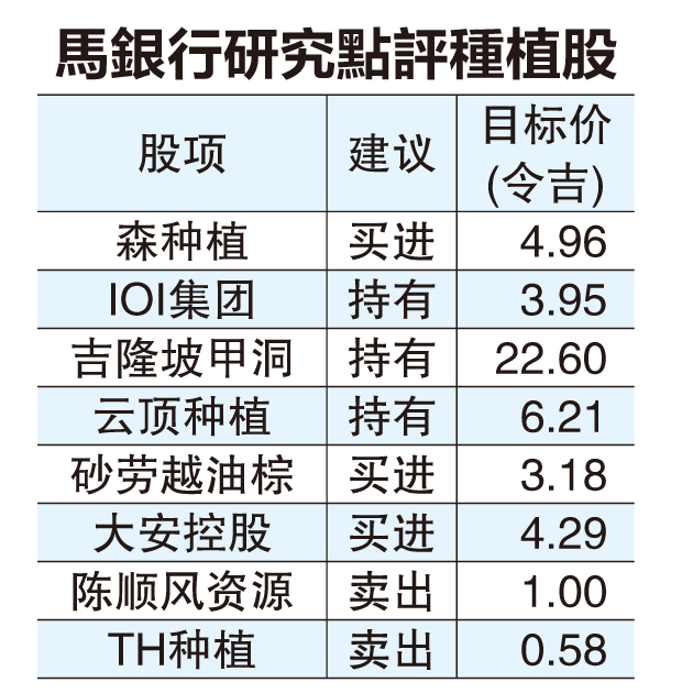 (财经封面) 油棕园转租光伏业  大园主回报高达54倍