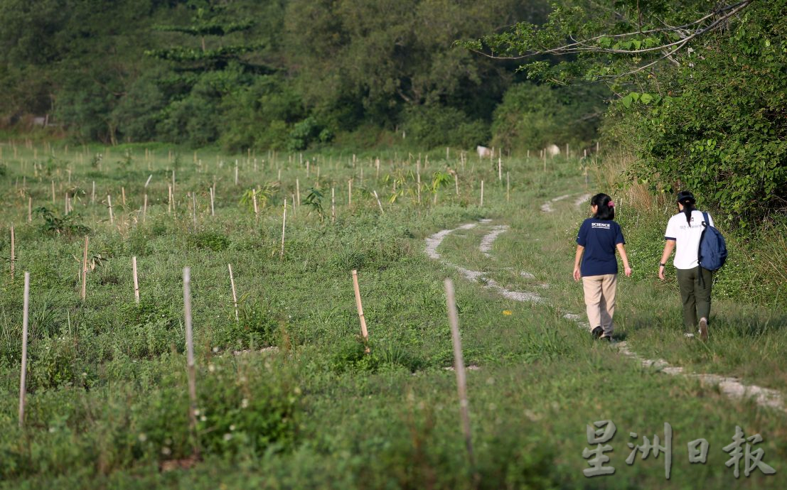 近打生態園優先覆育生態  擬藍圖迎大馬旅遊年