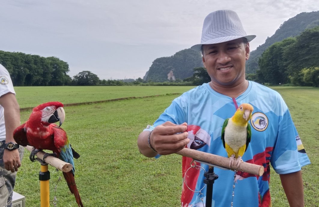 霹鸚鵡協會成立 放飛鸚鵡 交流養鳥經