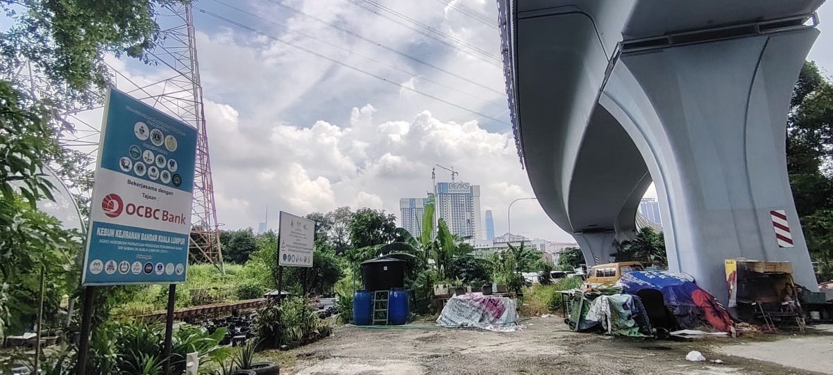 （6月5日见报）绿意盎然 | 捷运轨道下辟城市菜园 组屋居民耕耘出绿意