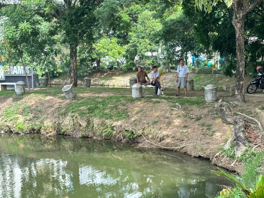 （古城封面主文）甘榜仄迪蓄水池現魚屍及發臭