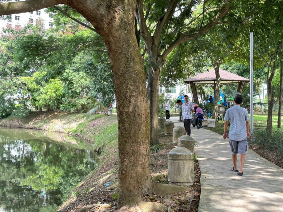 （古城封面主文）甘榜仄迪蓄水池現魚屍及發臭