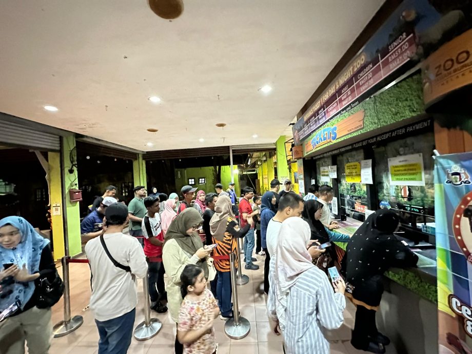 （古城第二副文）“马六甲夜生活”启动首周末 甲动物园吸引逾4千游客