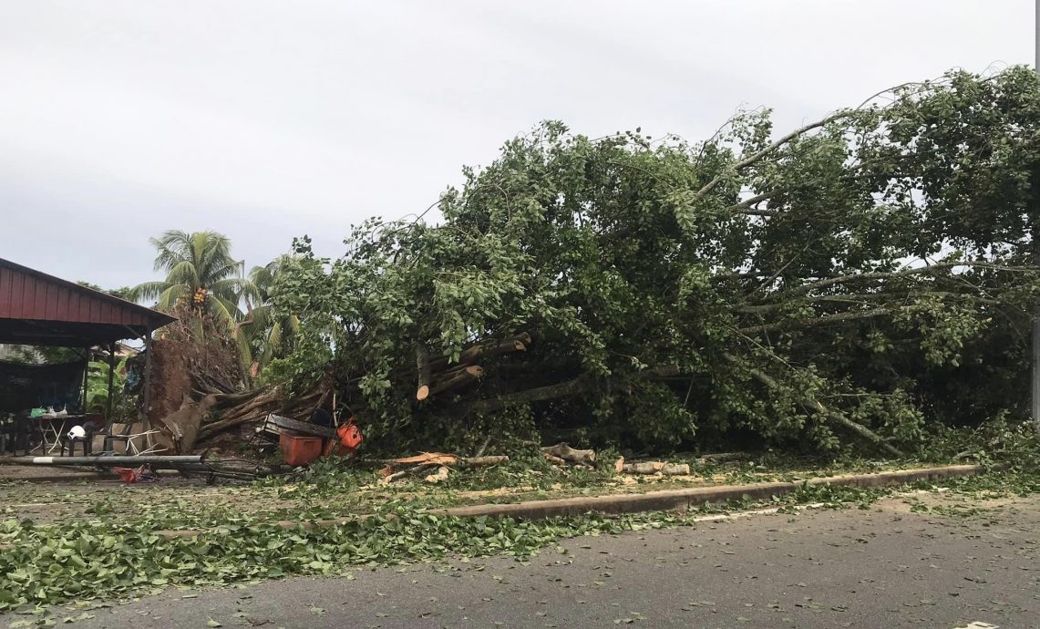 （大北馬）吉北今日凌晨下起暴風雨，造成多個地區大樹倒塌，其中古邦巴素縣內甘榜區的7間屋子受災，所幸沒有任何傷亡。