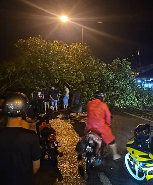 （大北马）吉北今日凌晨下起暴风雨，造成多个地区大树倒塌，其中古邦巴素县内甘榜区的7间屋子受灾，所幸没有任何伤亡。