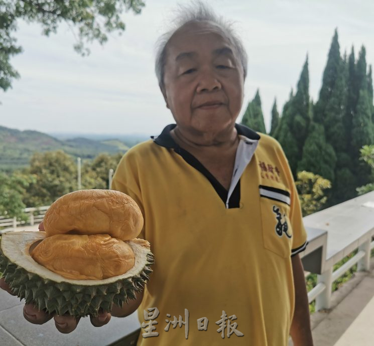 （大北马）舒宁顶这一季榴梿会持续至7月杪