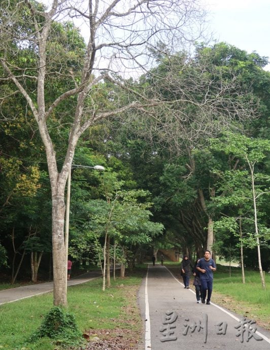 （已签发）柔：封面：民生特工队：枯干砸跑道危机四伏，市民冀速检修以安民心