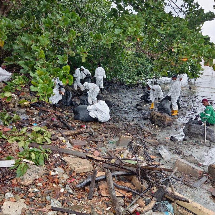 （已签发）柔：清理边佳兰海滩油污行动   进入第二天遇大雨
