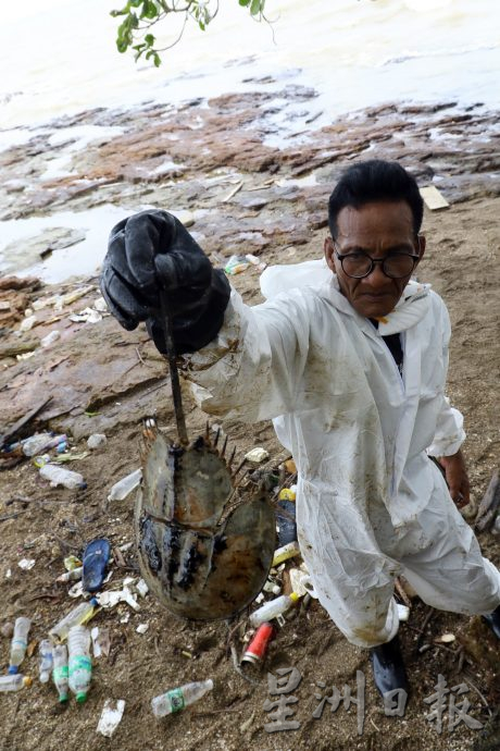 （已签发）柔：**版三**受油污事件影响 四湾岛渔民停工一周