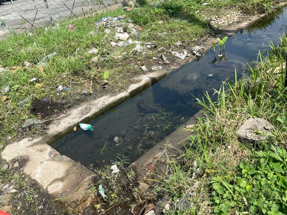 （版3头）大都会/余保凭有关峇都喼工业区水灾问题