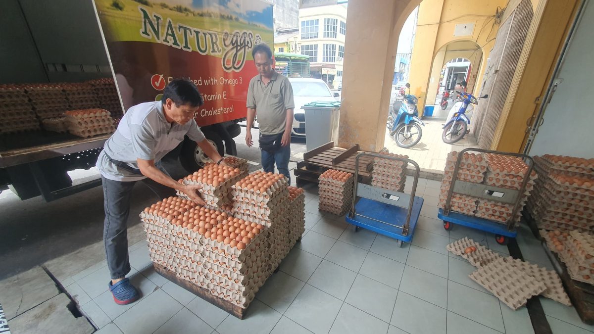 NS芙蓉/雞蛋全面降價農場或受影響，蛋商擔心市場雞蛋短缺問題加劇