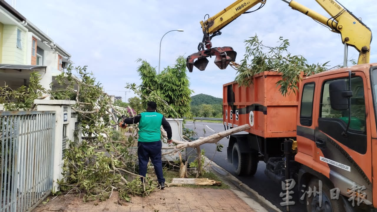 NS芙蓉／私人地倒树不善后 洐生意外 事主可追赔