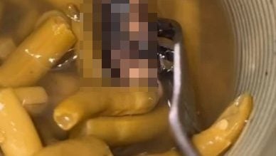 视频 | 罐头吃一半现“黑色腐烂手指” 女子崩溃反胃作呕