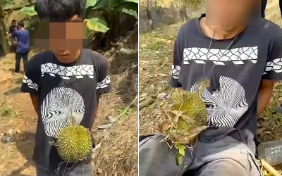RM10,000 for stealing 3 durians