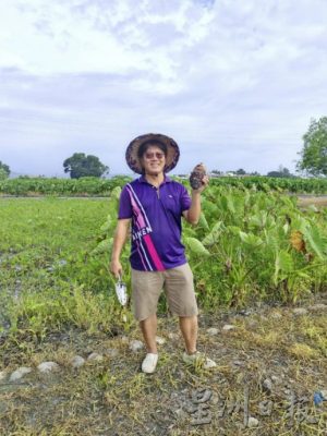 【臺灣】臺灣農場新體驗：食農旅行，好玩又好吃