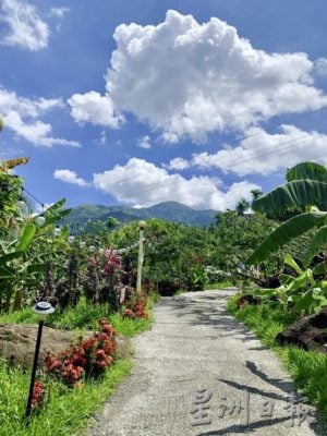 【台湾】台湾农场新体验：食农旅行，好玩又好吃