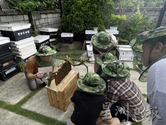 【台湾】台湾农场新体验：食农旅行，好玩又好吃