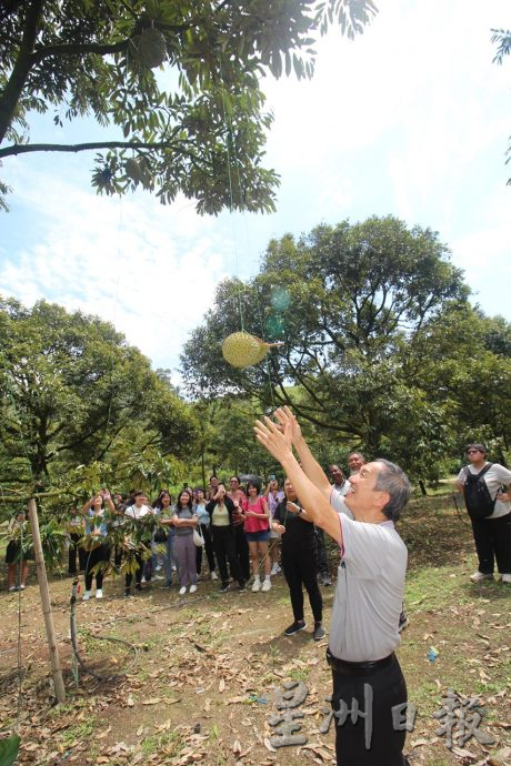 東5：國內外遊客紛紛組團前往勞勿吃榴槤，人數比去年暴增100%