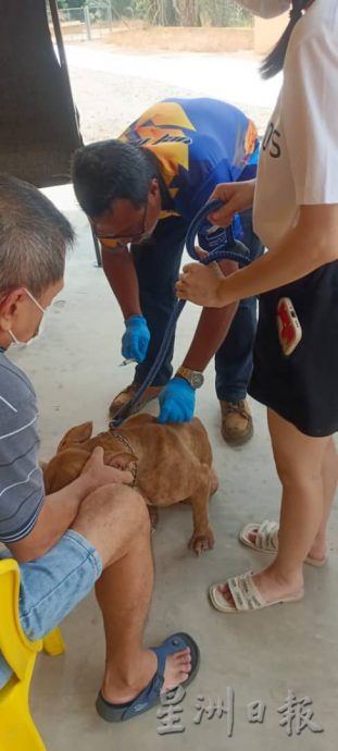 东：“让爱不流浪”活动 警犬表演成焦点