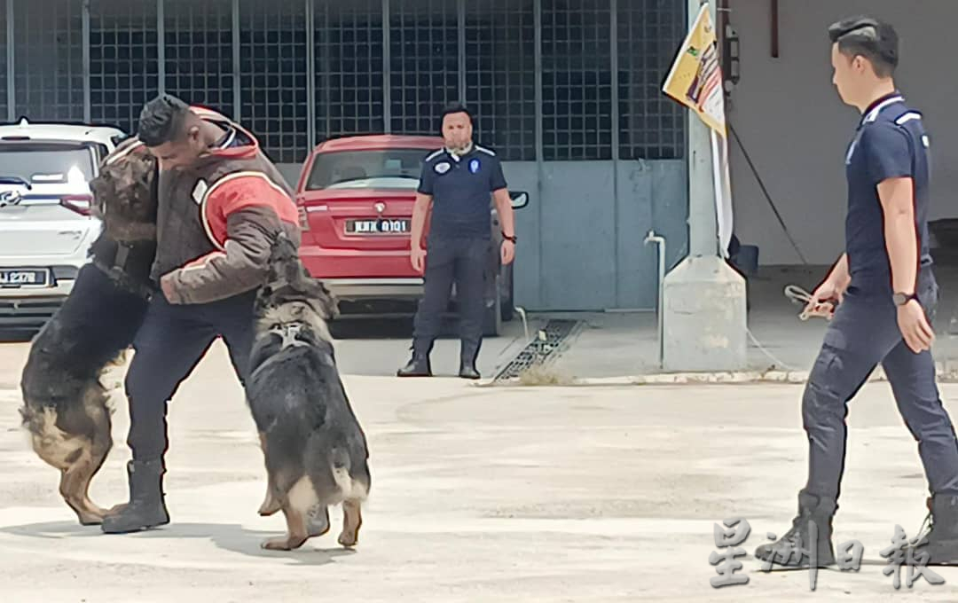 东：“让爱不流浪”活动 警犬表演成焦点