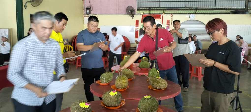 东：吉兰丹话望生种植商（榴莲/油棕）公会主席林锦志说，猫山王榴梿在大马及海外经红透半边天，惟还是有大部份榴梿爱好者，不知道其原产地是在吉兰丹州的话望生，有者或误以为彭亨州文冬和劳勿是最大产区！