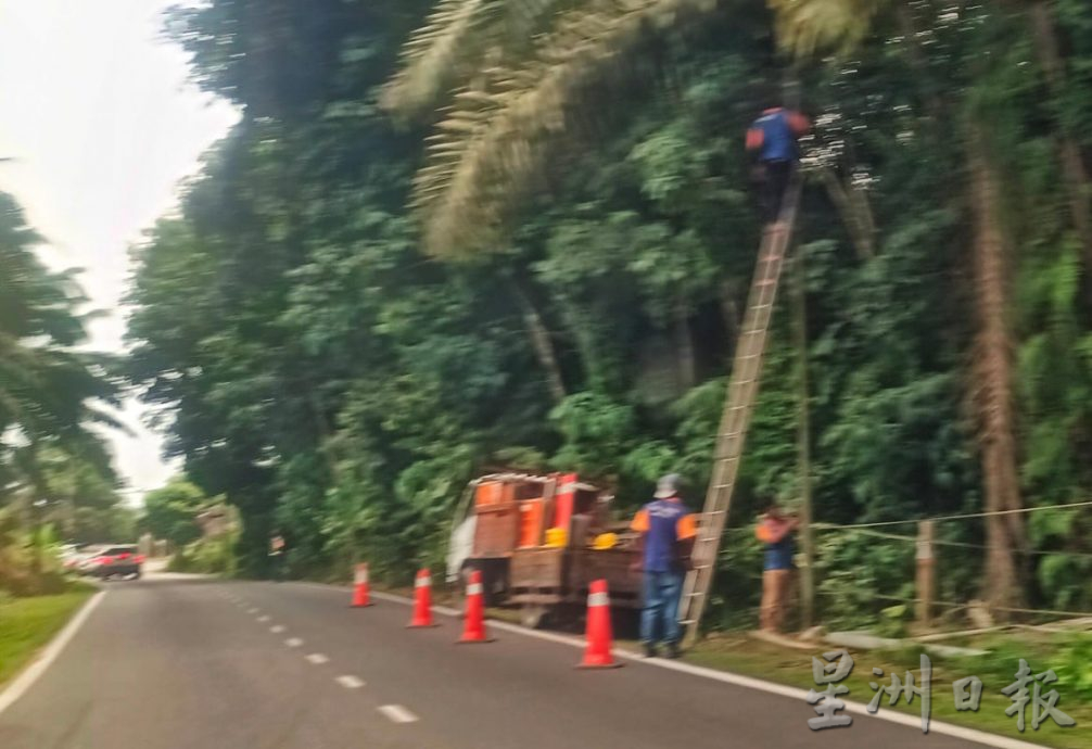 東：旺國路電訊柱倒下已裝新