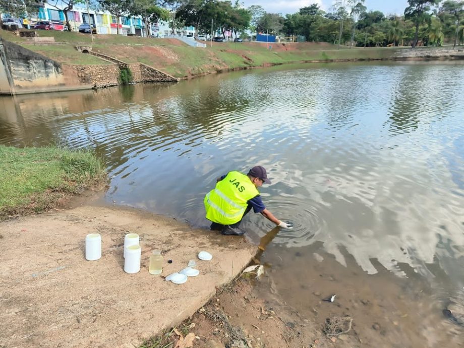 东：湖泊水中氧不足鱼只大量死 关丹市厅捞鱼工作仍进行