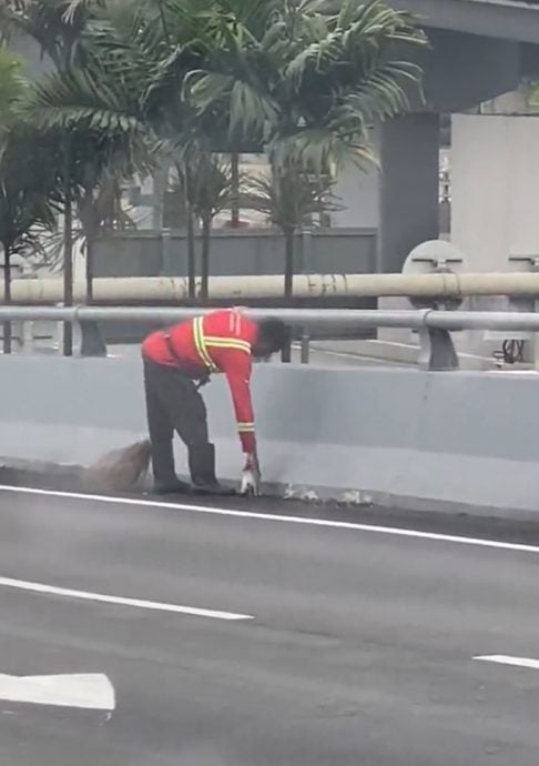 以为要抛下 清洁工路旁拿起小猫咪放肩上获网赞