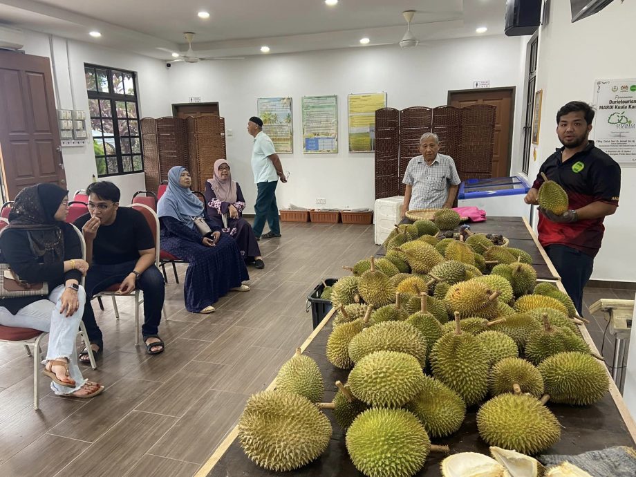 農業研究院 即至29日推榴槤旅遊配套