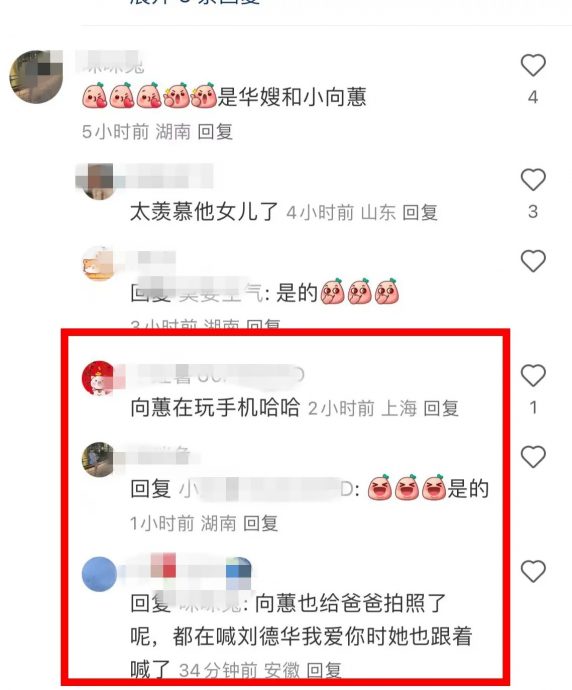 刘德华妻女看演出两样情 刘向蕙不随妈低头滑手机