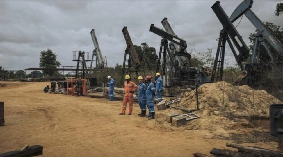 刚果矿场遇袭　4中国公民遇害