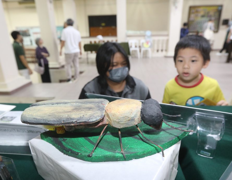 大都会/FRIM办论坛和电影分享会 唤醒国人对萤火虫护育意识