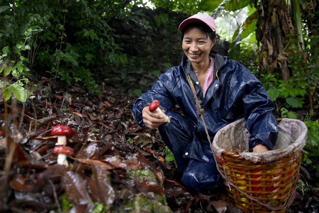 天下事主文)文昌小鎮吃“火箭飯” 天台擺凳觀禮家家開民宿