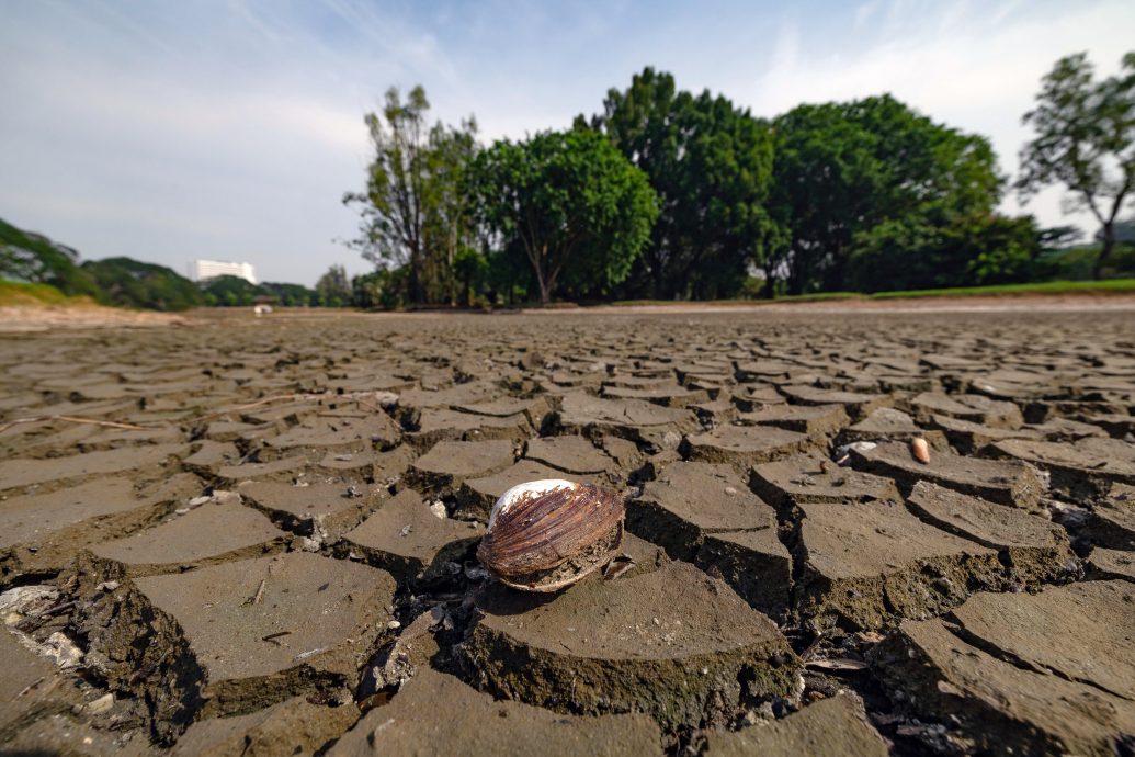 太平湖水位下降市议会及火箭队员趁机清理湖床上的垃圾