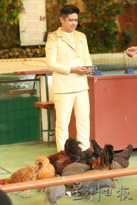 媒體人國家動物園舉辦婚禮，看錶演和動物餵食體驗