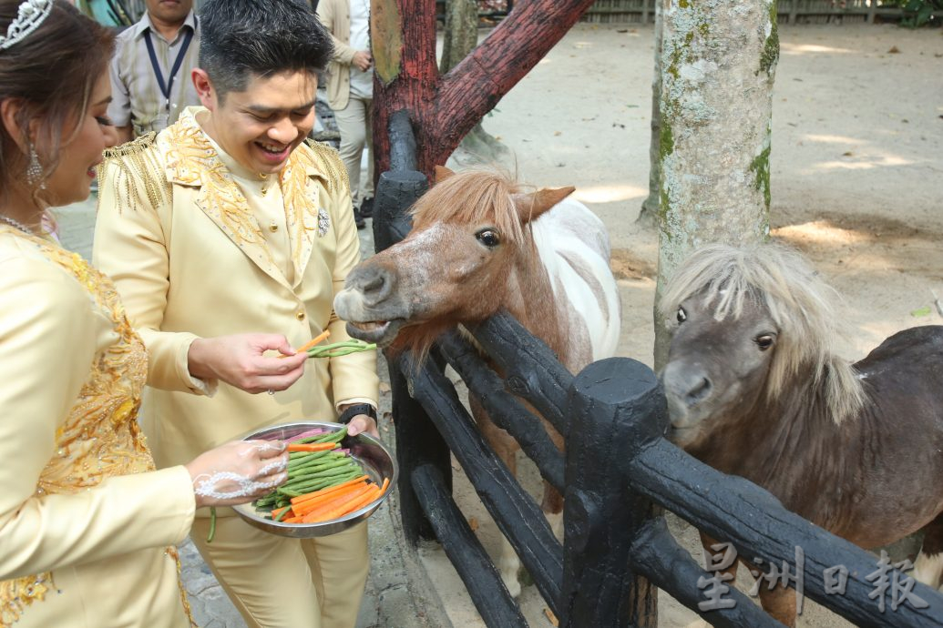 媒體人國家動物園舉辦婚禮，看錶演和動物餵食體驗