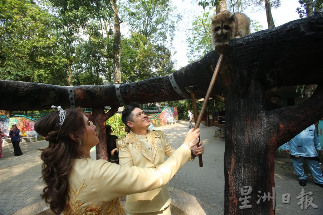 媒體人國家動物園舉辦婚禮，看錶演和動物餵食體驗