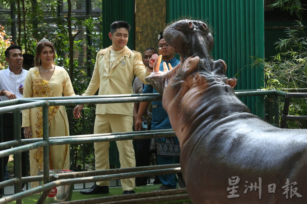 媒體人國家動物園舉辦婚禮，看錶演和動物餵食體驗