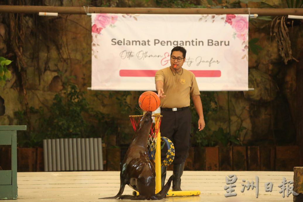 媒體人國家動物園舉辦婚禮，看錶演和動物餵食體驗