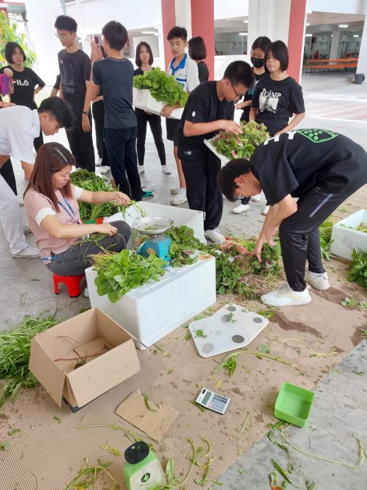 *已签发* 柔：“快乐农耕：全国中学绿色校园运动”宽中至达城分校师生体验农民“一条龙”过程