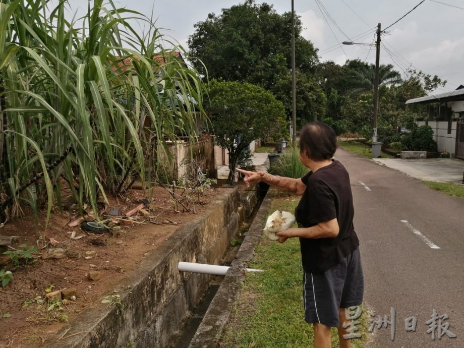 *已签发* 版头之一 柔：銮2地区野象出没行径遭网民拍下  居民受促多加小心  