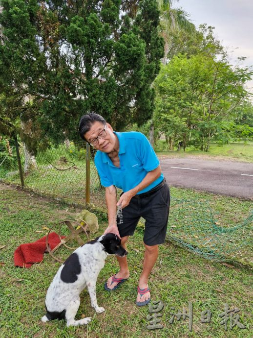 *已签发* 版头之一 柔：銮2地区野象出没行径遭网民拍下  居民受促多加小心  